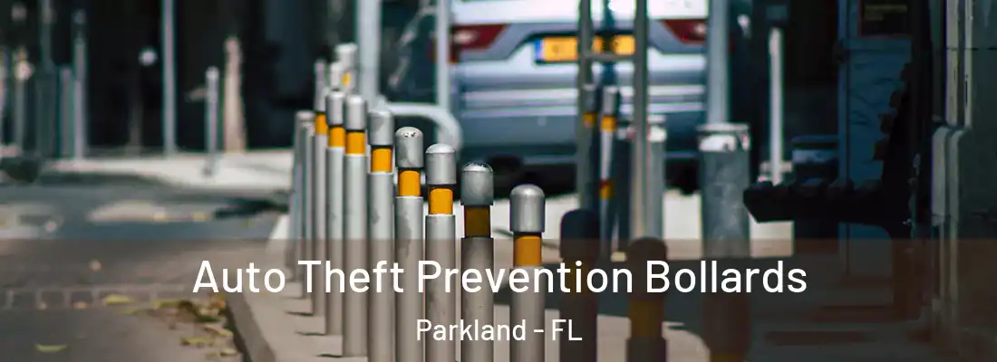  Auto Theft Prevention Bollards Parkland - FL
