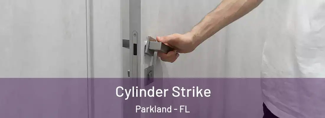  Cylinder Strike Parkland - FL