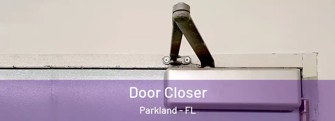  Door Closer Parkland - FL