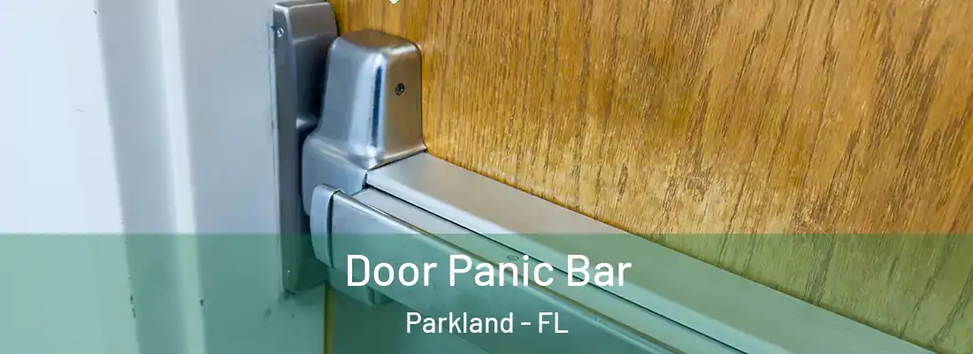 Door Panic Bar Parkland - FL