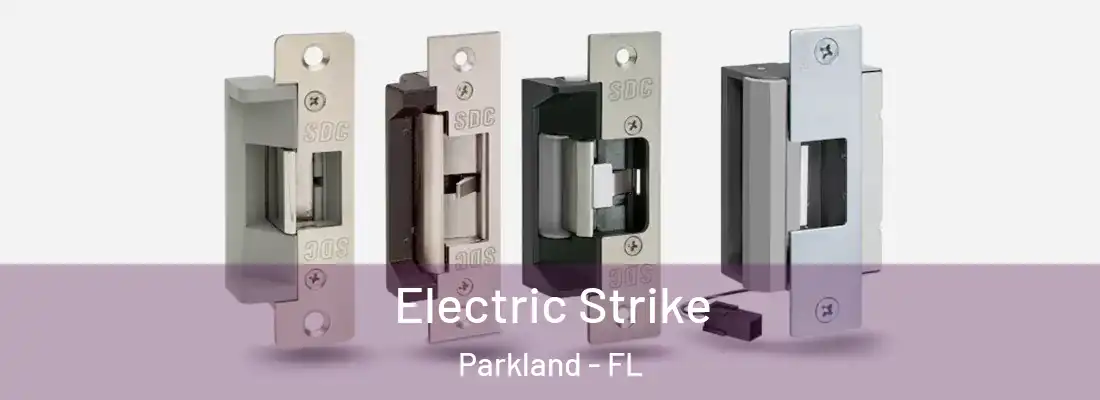  Electric Strike Parkland - FL