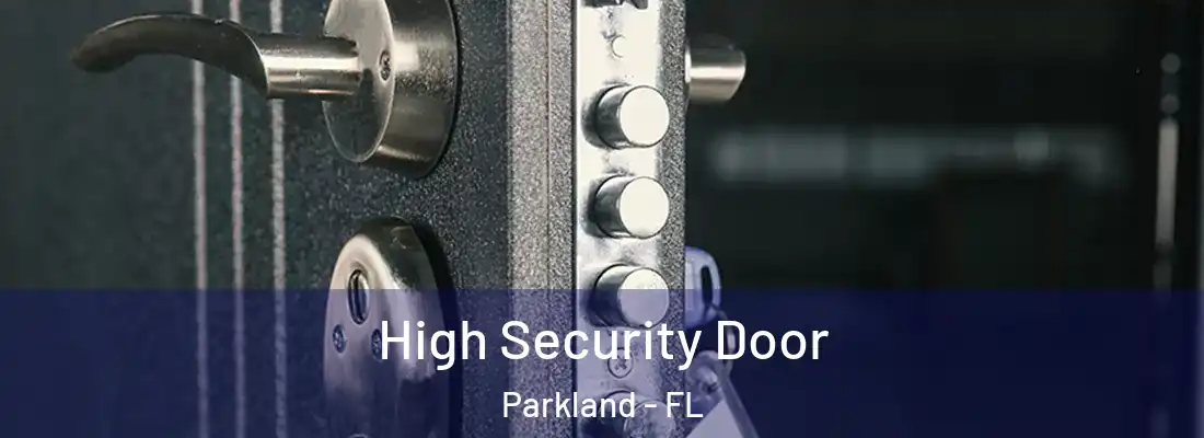  High Security Door Parkland - FL