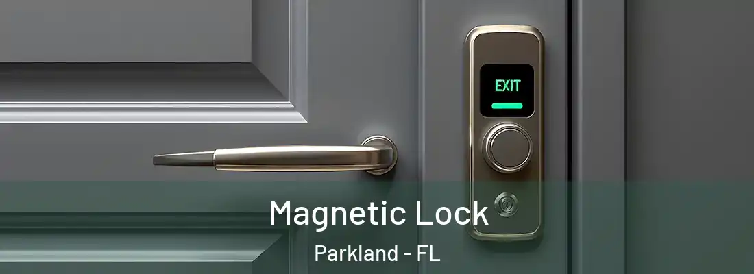  Magnetic Lock Parkland - FL
